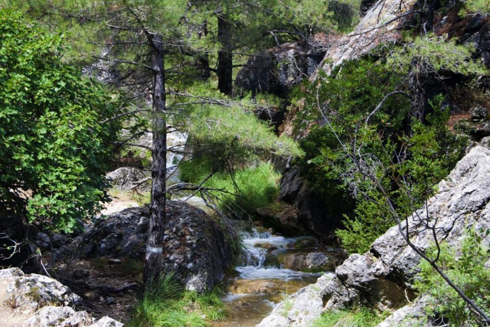 Cortijo El Chorreadero En Parque Natural Sierra De Cazorla Los Rosales  Exterior foto